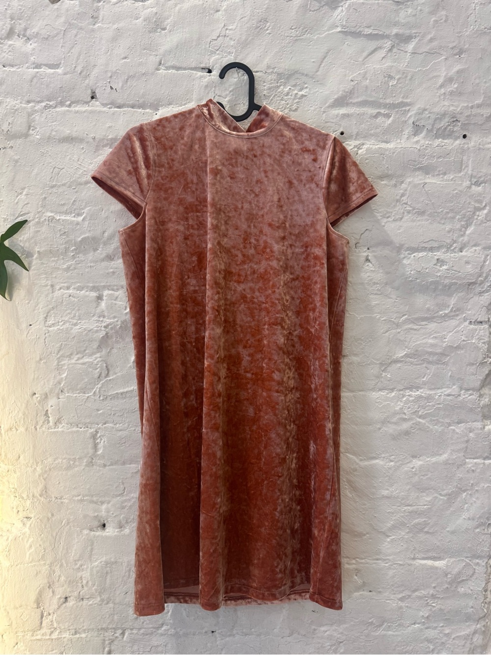 Madewell Velvet Short-Sleeve Shift Dress in Dusty Rose